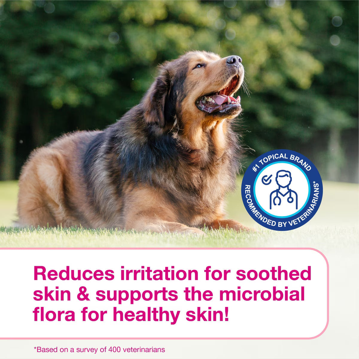 Douxo S3 CALM Soothing Itchy Hydrated Skin Dog & Cat Mousse (5.1 oz) - All Dog Grooming 8