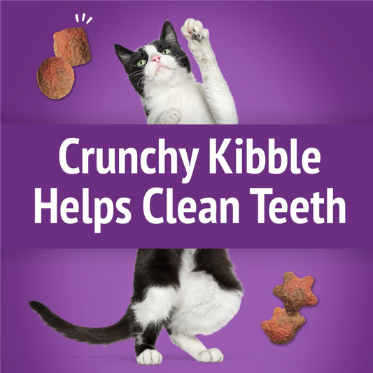 Friskies Party Mix Gravy-Licious Crunch Turkey & Gravy Cat Treats (2.1 oz) - Cat Treats 2