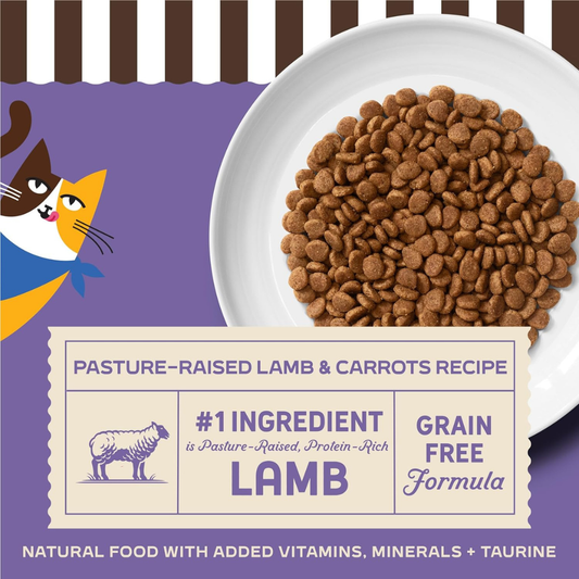 Merrick Purrfect Bistro Grain Free Pasture-Raised Lamb & Carrots Recipe Dry Cat Food - Cat Food 2