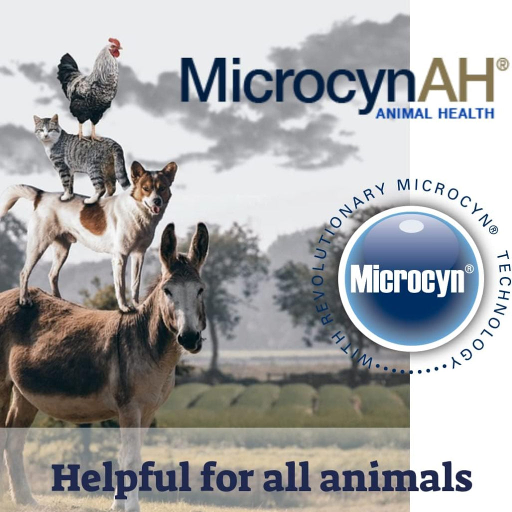 MicrocynAH Ophthalmic Gel For Pets (3 oz)