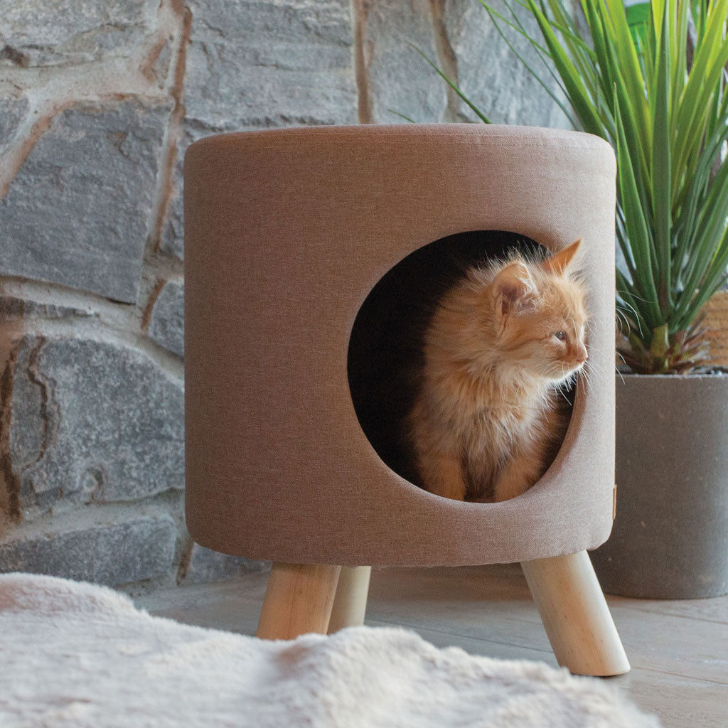 4 Cats & Dogs Wallie Pet Stool - Dog Beds & Furniture 14