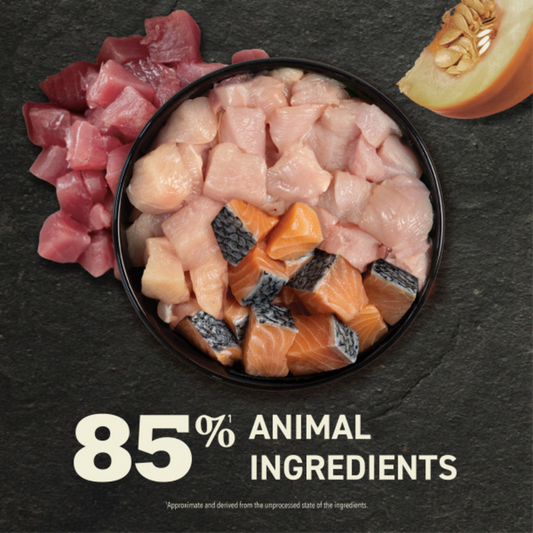 ACANA Premium Pate Variety Pack Wet Cat Food