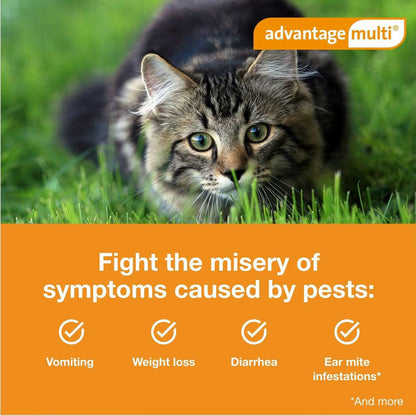 Advantage Multi for Cats, 9.1-18 lbs