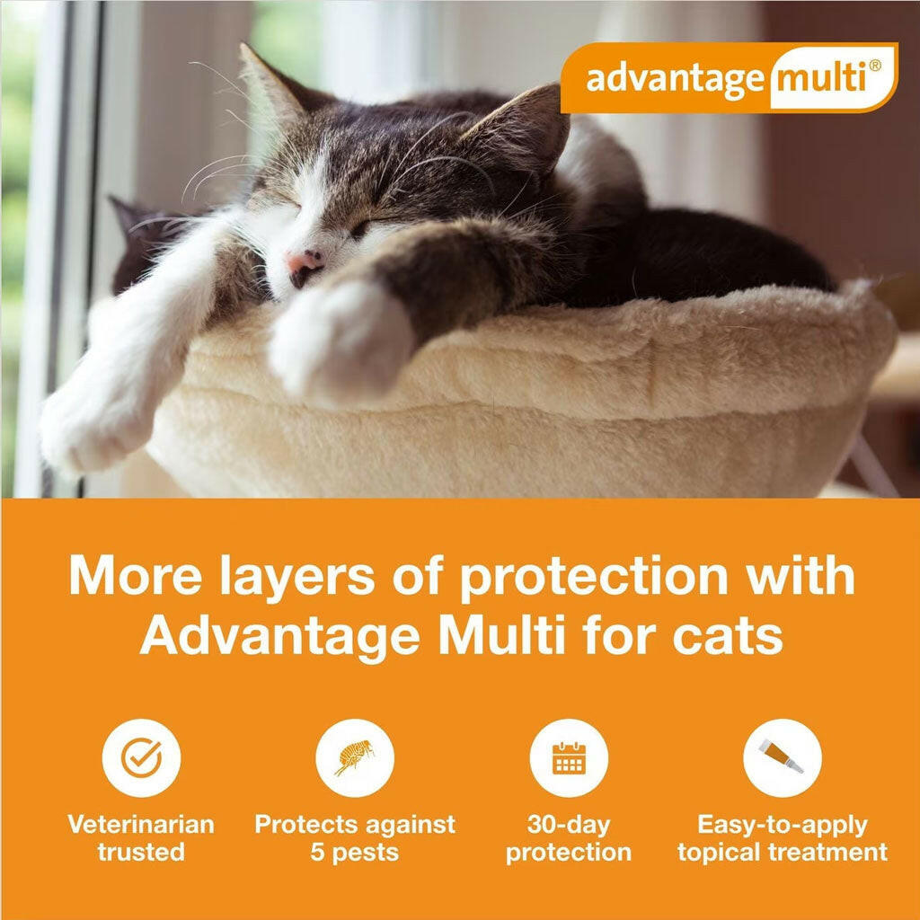 Advantage Multi for Cats, 9.1-18 lbs