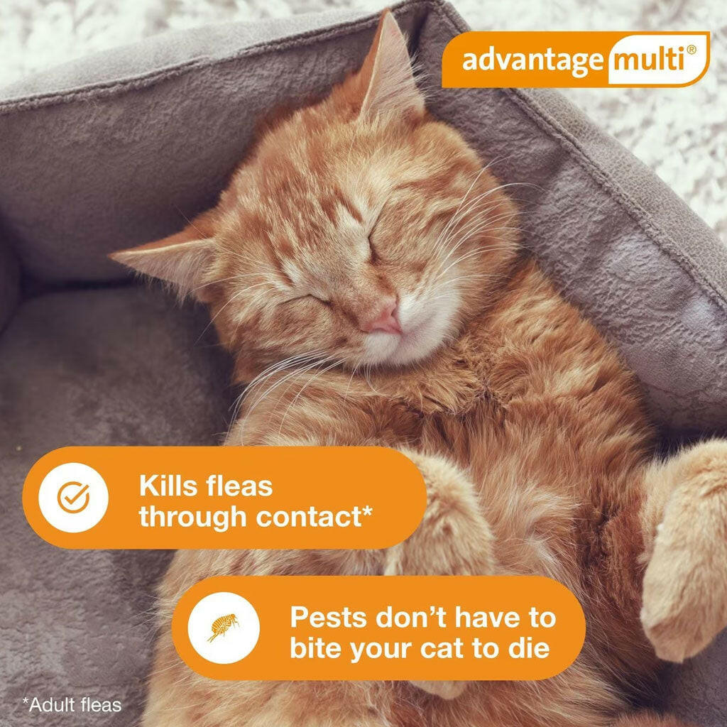 Advantage Multi for Cats 5.1-9 lbs