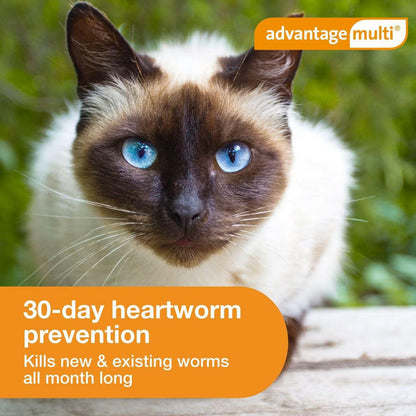 Advantage Multi for Cats, 9.1-18 lbs