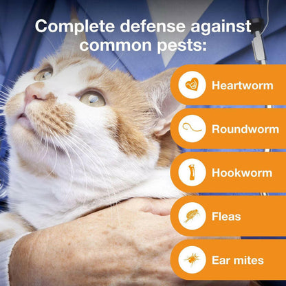 Advantage Multi for Cats, 9.1-18 lbs