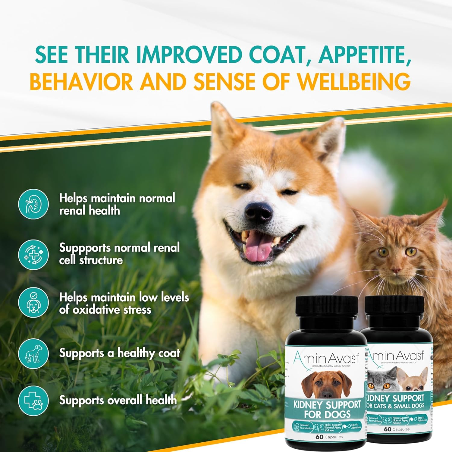 AminAvast Kidney Support Capsules for Cats - 60 Capsules - Cat Supplements & Vitamins 5