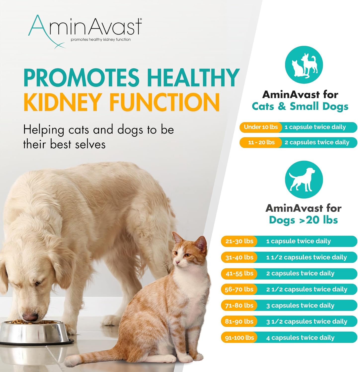 AminAvast Kidney Support Capsules for Cats - 60 Capsules - Cat Supplements & Vitamins 4