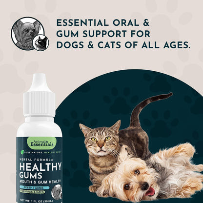 Animal Essentials Herbal Formula Healthy Gums for Dogs & Cats 1-oz - Dog Supplements & Vitamins 8
