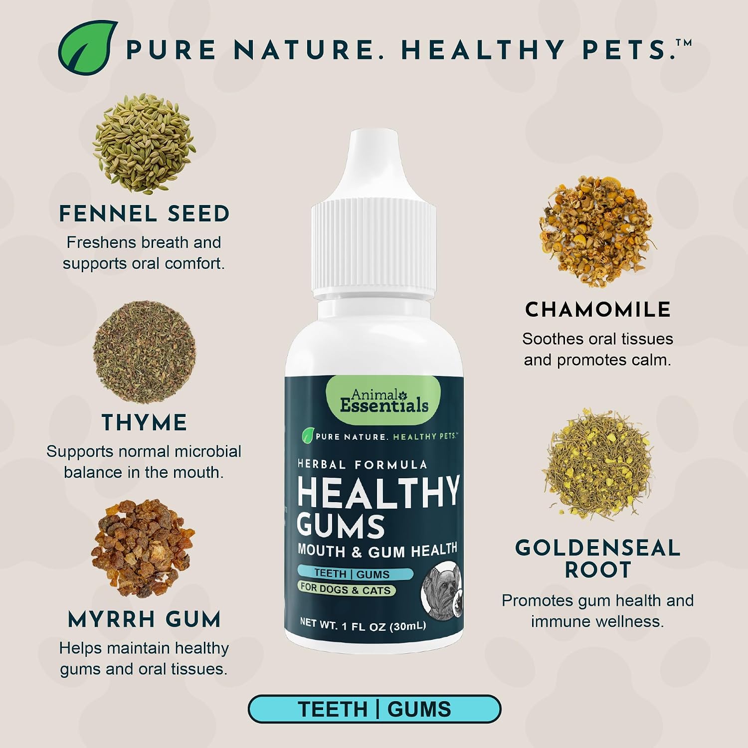 Animal Essentials Herbal Formula Healthy Gums for Dogs & Cats 1-oz - Dog Supplements & Vitamins 4