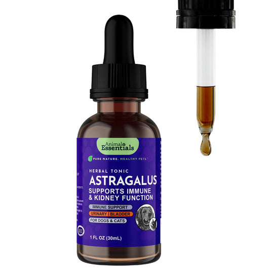 Animal Essentials Herbal Tonic Astragalus Supports Immune & Kidney Function for Dogs & Cats - 1-oz - Dog Supplements &