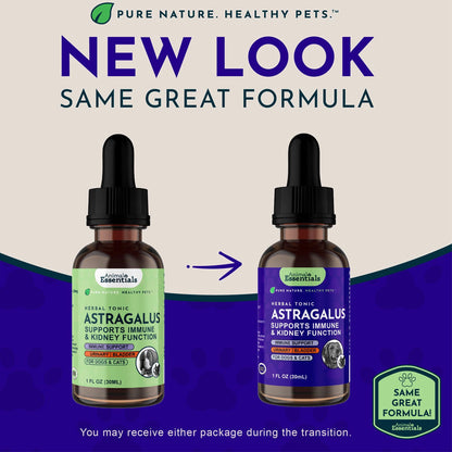 Animal Essentials Herbal Tonic Astragalus Supports Immune & Kidney Function for Dogs & Cats - Dog Supplements &