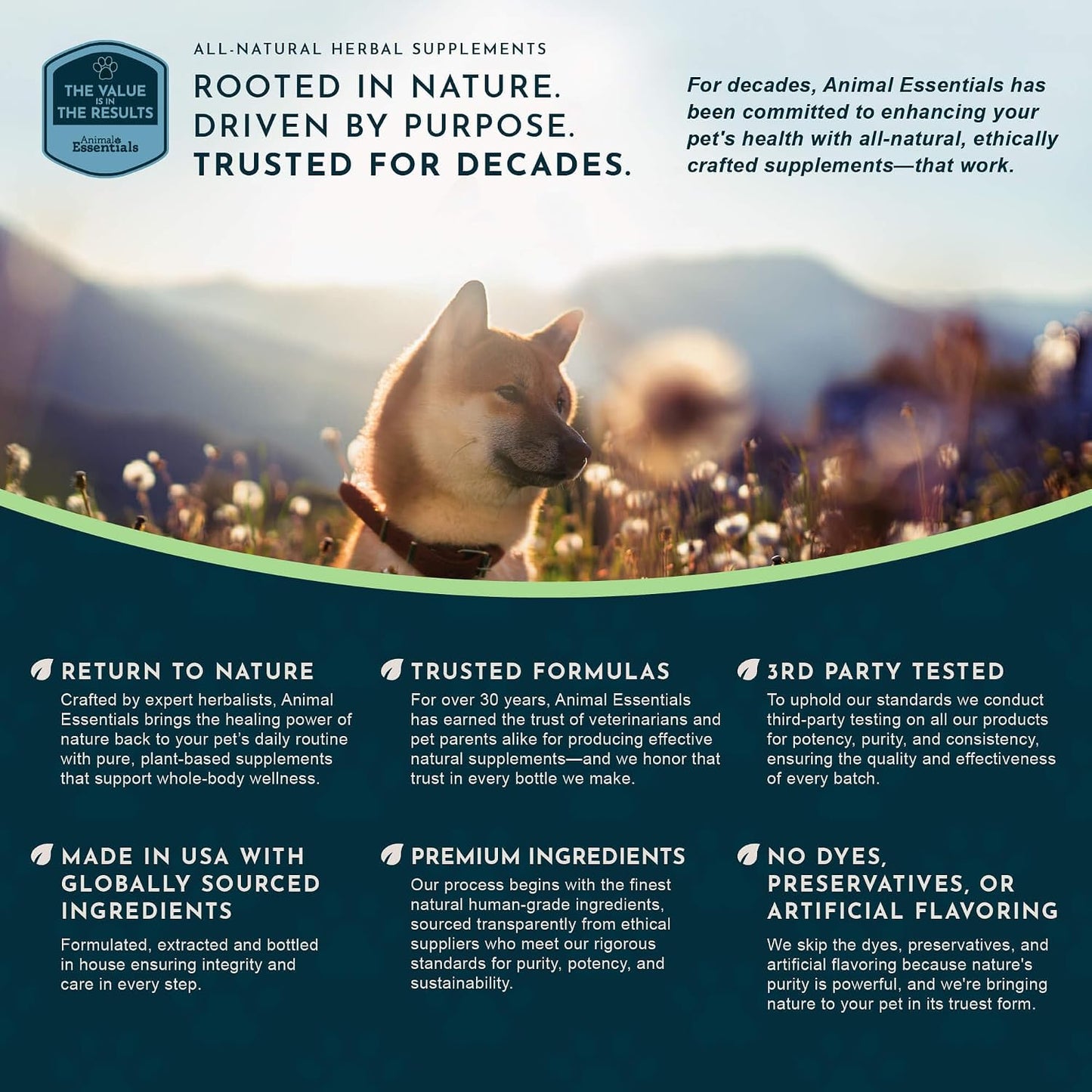 Animal Essentials Herbal Tonic Blend Breathe Ez Promotes Clear Easy Breathing for Dogs & Cats - Dog Supplements &
