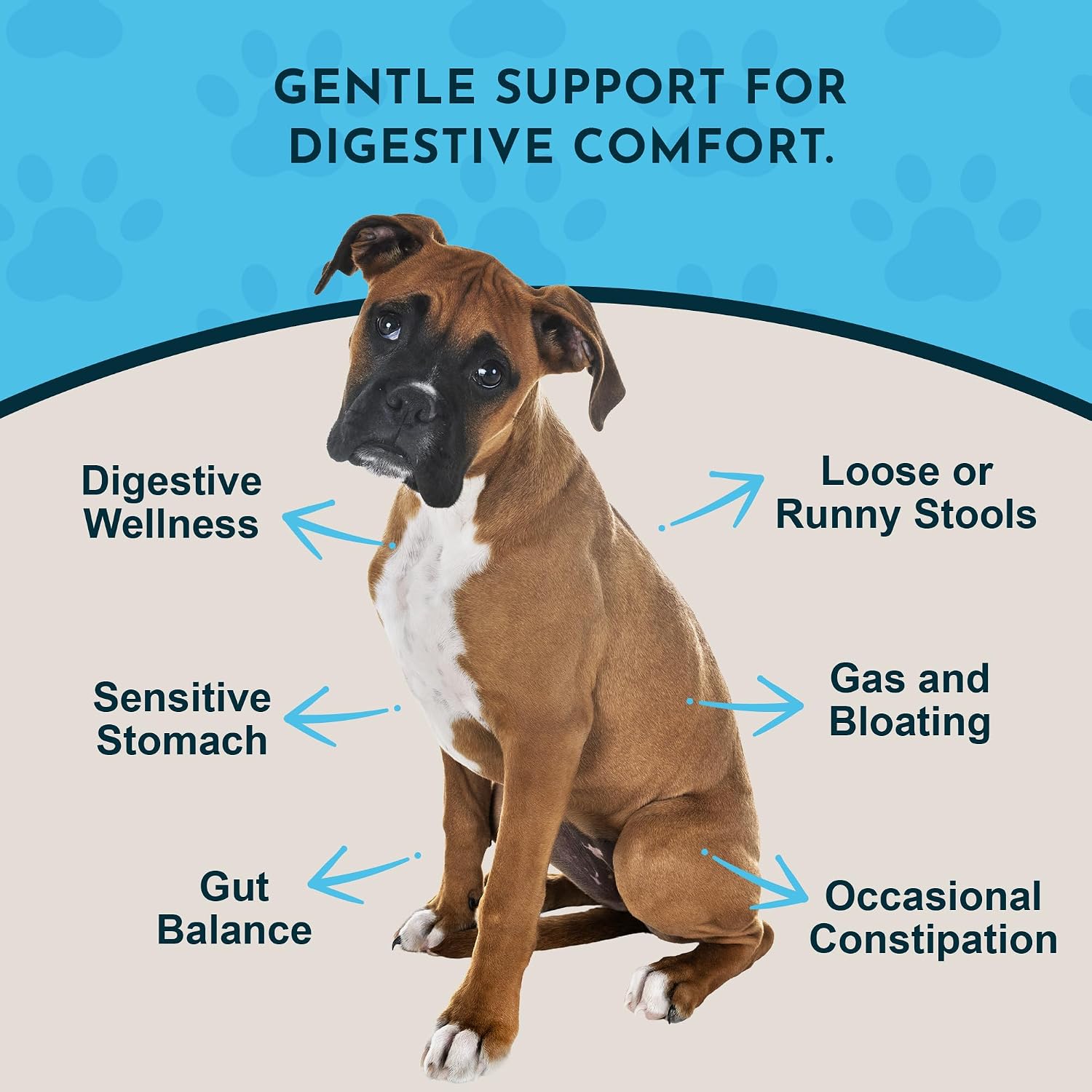 Animal Essentials Herbal Tonic Blend Healthy Gut Prebiotic for Intestinal Well-Being for Dogs & Cats - Dog Supplements