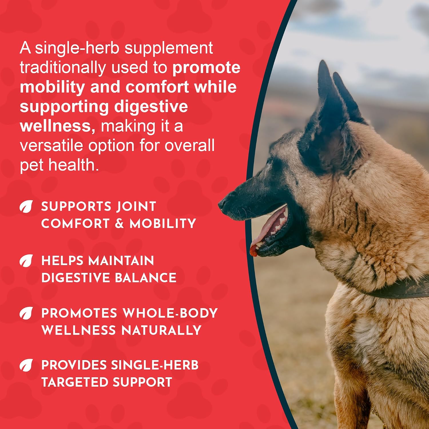 Animal Essentials Herbal Tonic Blend Joint Support Helps Stiffness & Soreness for Dogs & Cats - Dog Supplements &