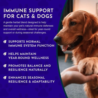 Animal Essentials Herbal Tonic Blend Super Immune Supports Healthy Immune System for Dogs & Cats - Dog Supplements &
