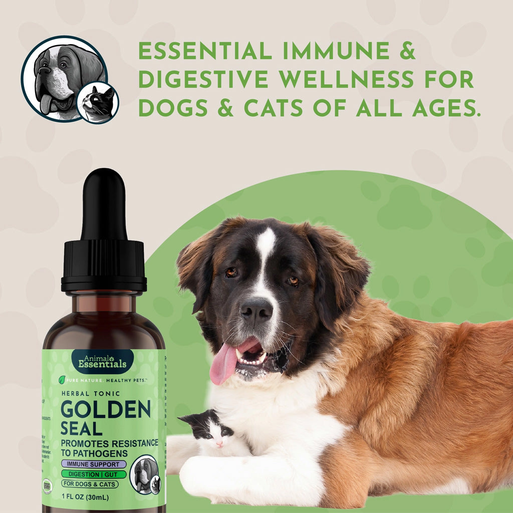 Animal Essentials Herbal Tonic Golden Seal Promotes Resistance to Pathogens for Dogs & Cats 1-oz - Dog Supplements &