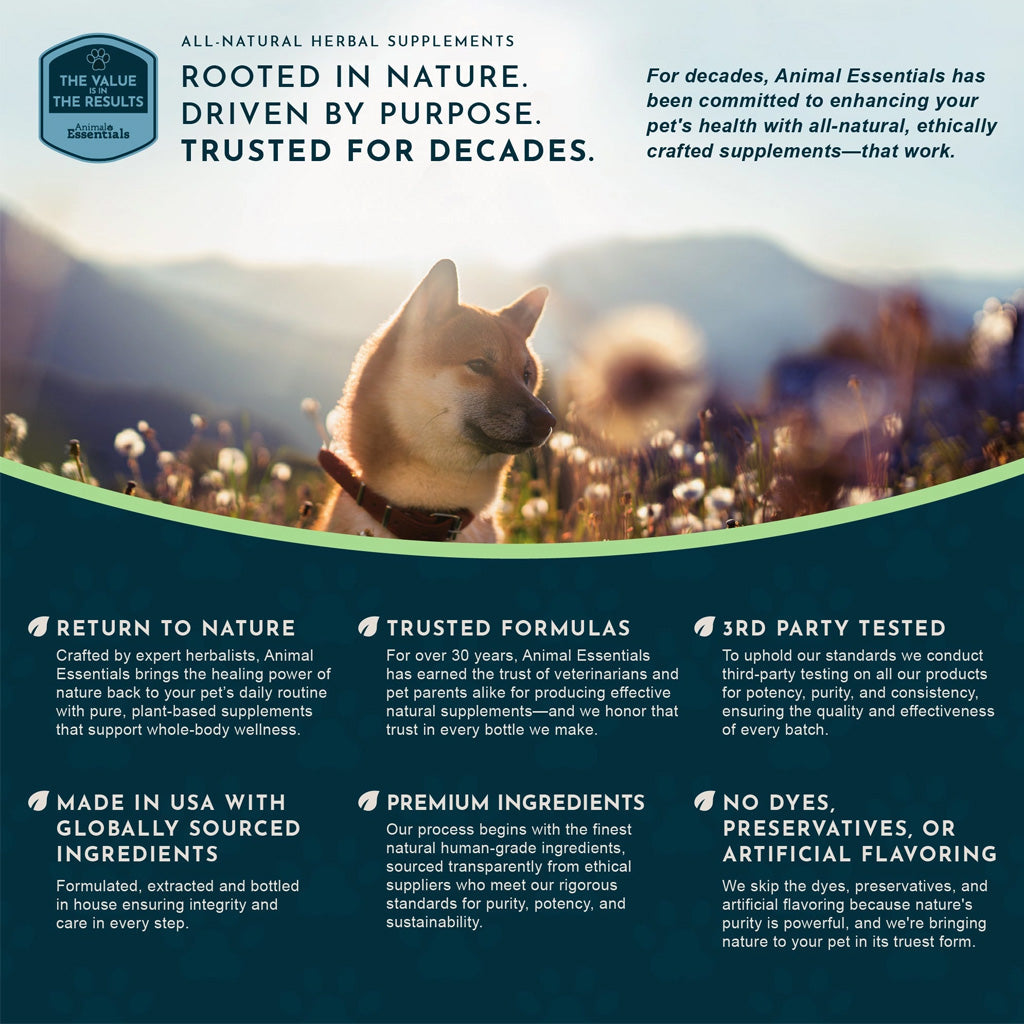 Animal Essentials Herbal Tonic Golden Seal Promotes Resistance to Pathogens for Dogs & Cats 1-oz - Dog Supplements &