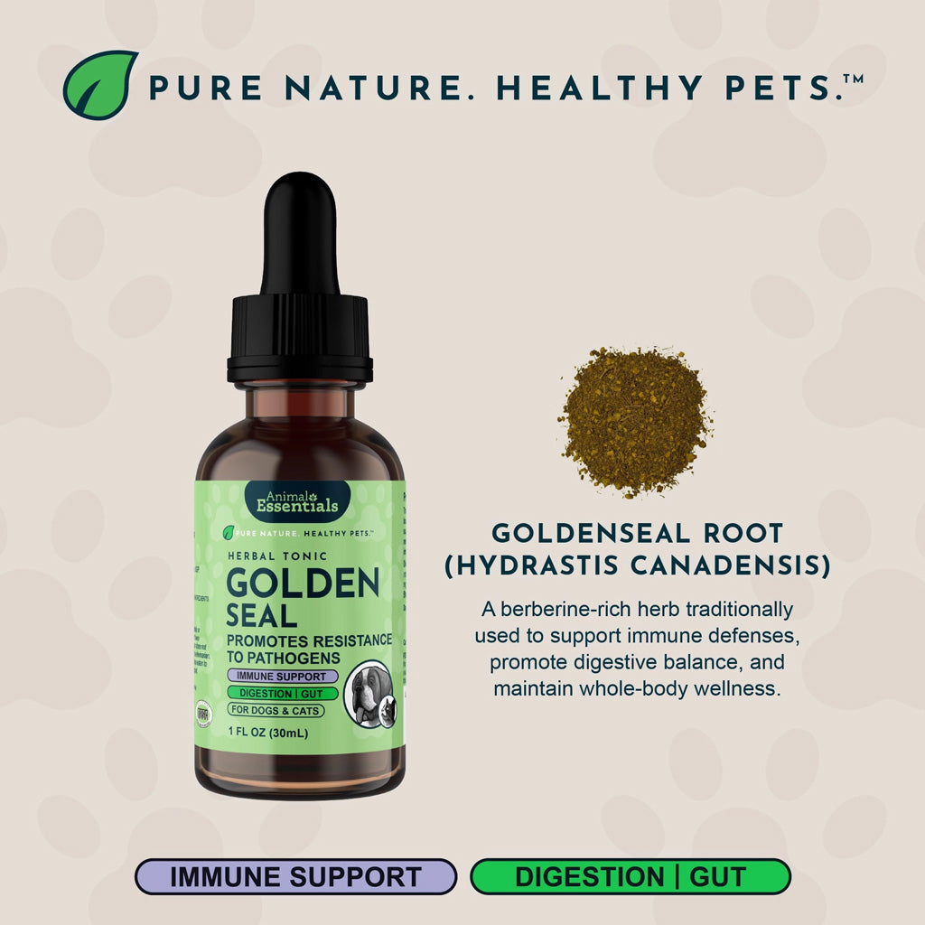 Animal Essentials Herbal Tonic Golden Seal Promotes Resistance to Pathogens for Dogs & Cats 1-oz - Dog Supplements &