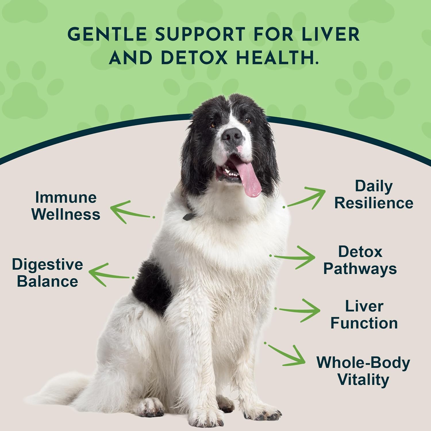 Animal Essentials Herbal Tonic Milk Thistle Supports Healthy Liver Function for Dogs & Cats - Dog Supplements &