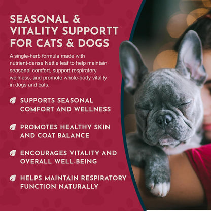 Animal Essentials Herbal Tonic Nettle Allergy Support for Dogs & Cats - Dog Supplements & Vitamins 6