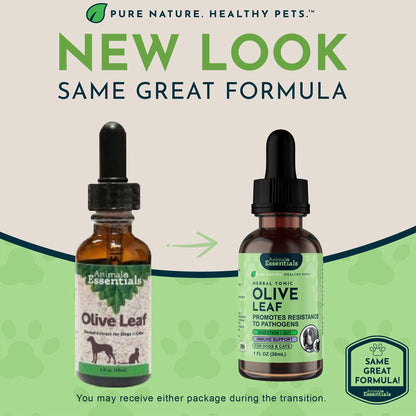 Animal Essentials Herbal Tonic Olive Leaf Promotes Resistance to Pathogens for Dogs & Cats - Dog Supplements & Vitamins