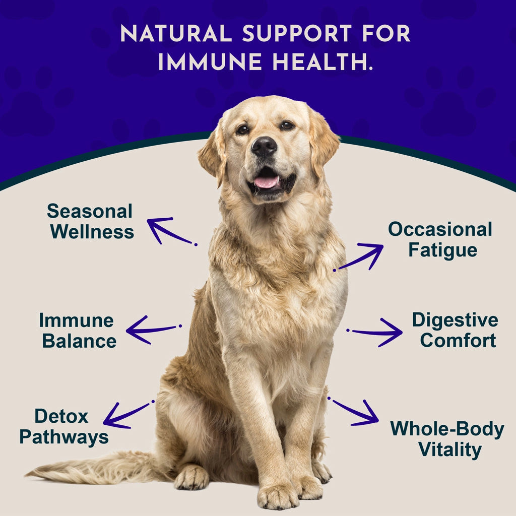 Animal Essentials Herbal Tonic Resist & Renew Boosts Immunity & Toxin Elimination for Dogs & Cats - Dog Supplements &
