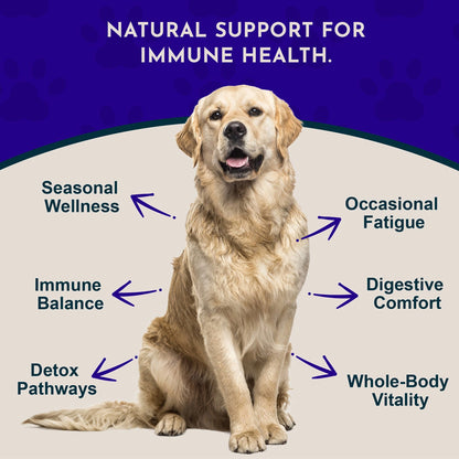 Animal Essentials Herbal Tonic Resist & Renew Boosts Immunity & Toxin Elimination for Dogs & Cats - Dog Supplements &