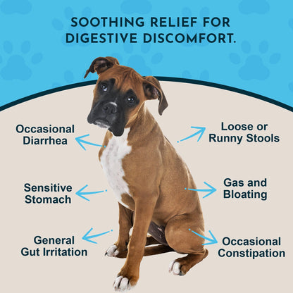 Animal Essentials Herbal Tonic Slippery Elm Supports Respiratory & Gut Health for Dogs & Cats - Dog Supplements &
