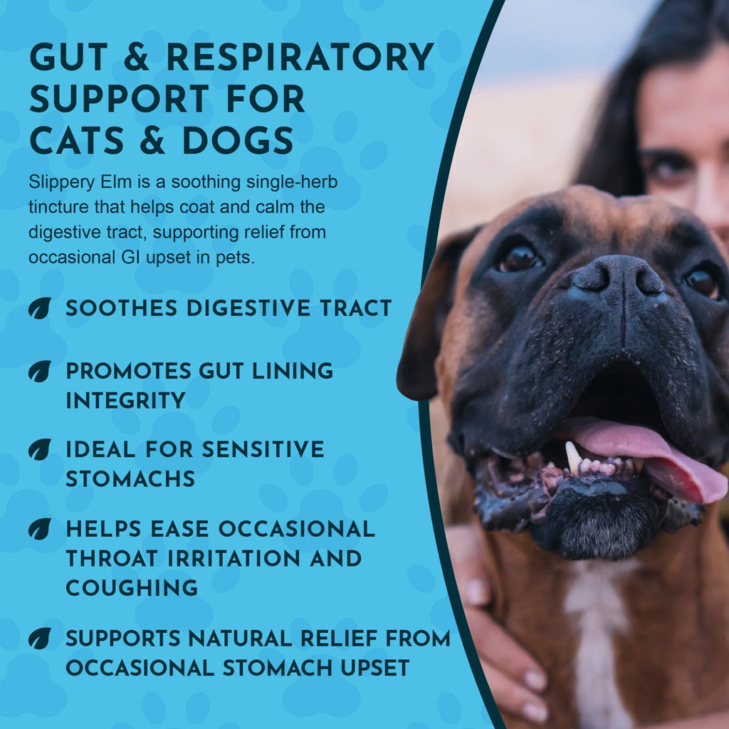 Animal Essentials Herbal Tonic Slippery Elm Supports Respiratory & Gut Health for Dogs & Cats - Dog Supplements &