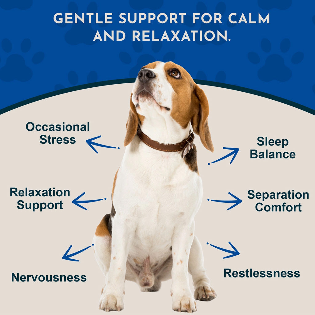 Animal Essentials Herbal Tonic Valerian Promotes Calm & Relaxation for Dogs & Cats - Dog Supplements & Vitamins 10