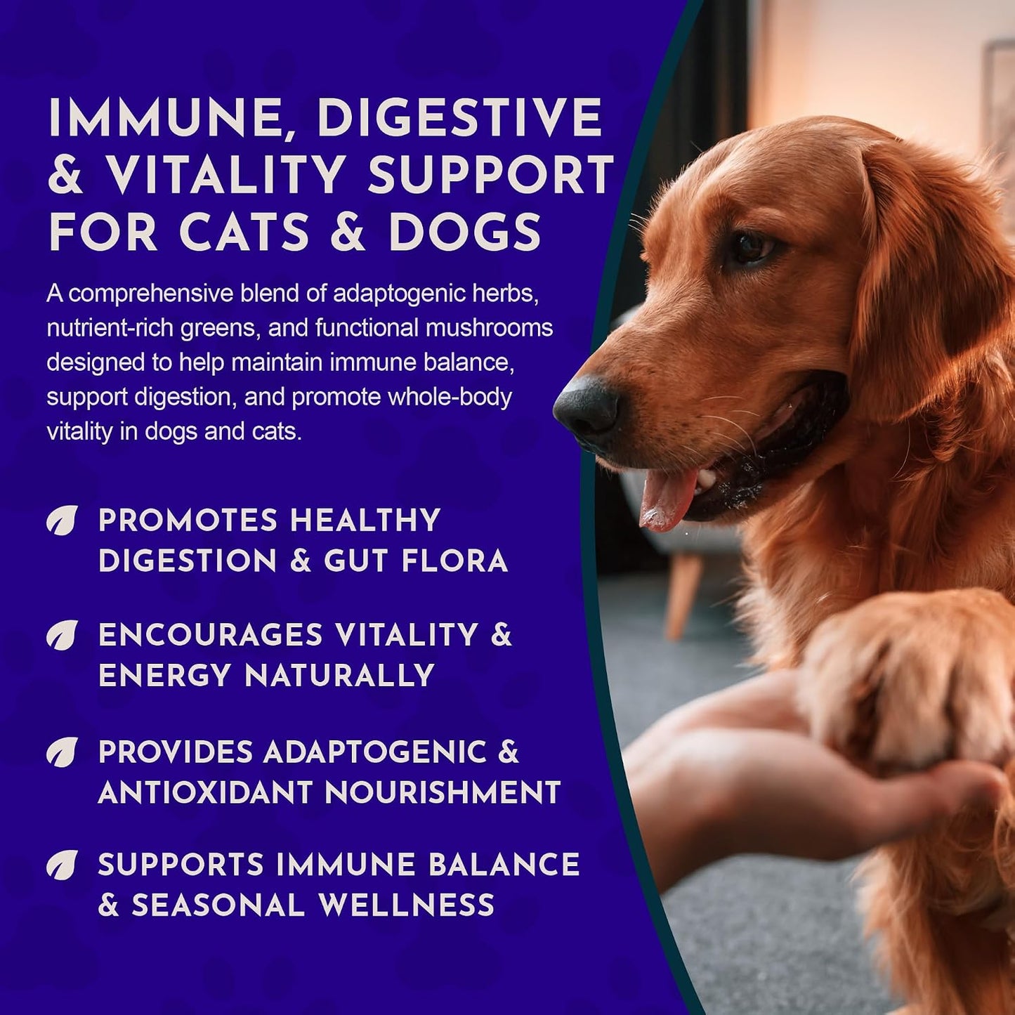 Animal Essentials Immuno Thrive Supplement Powder for Dogs & Cats 5.3-oz - Dog Supplements & Vitamins 7