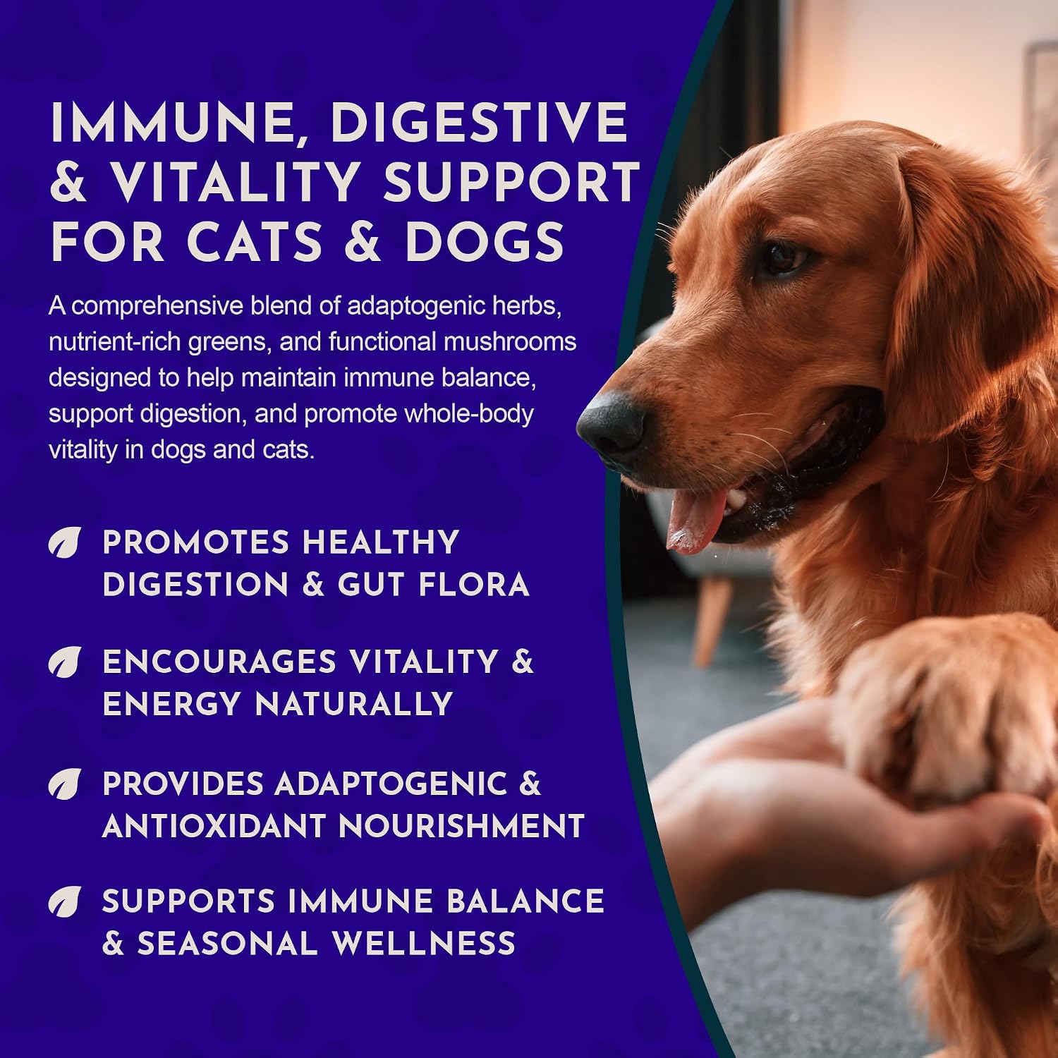 Animal Essentials Immuno Thrive Supplement Powder for Dogs & Cats 5.3-oz - Dog Supplements & Vitamins 7