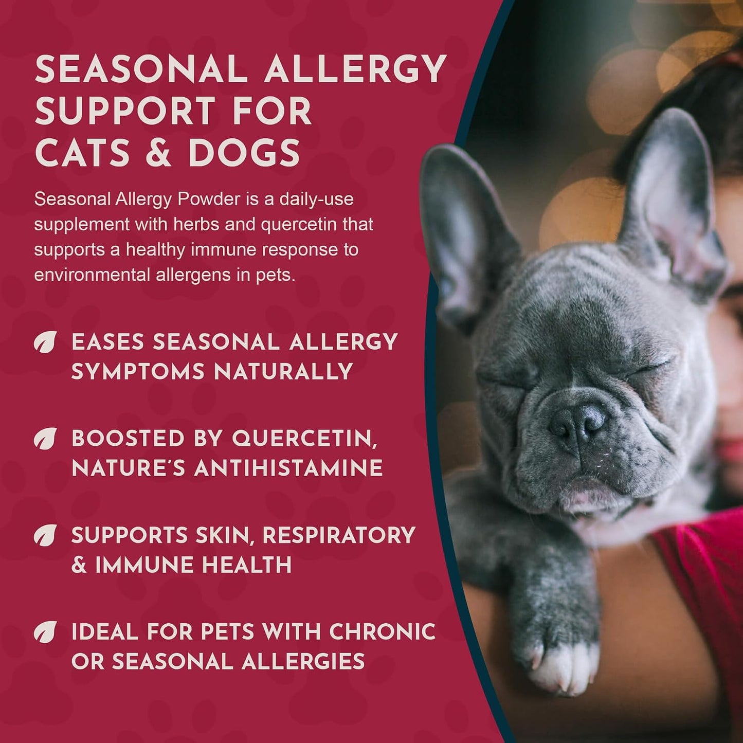 Animal Essentials Seasonal Allergy Powder for Dogs & Cats 2.5-oz - Dog Supplements & Vitamins 5
