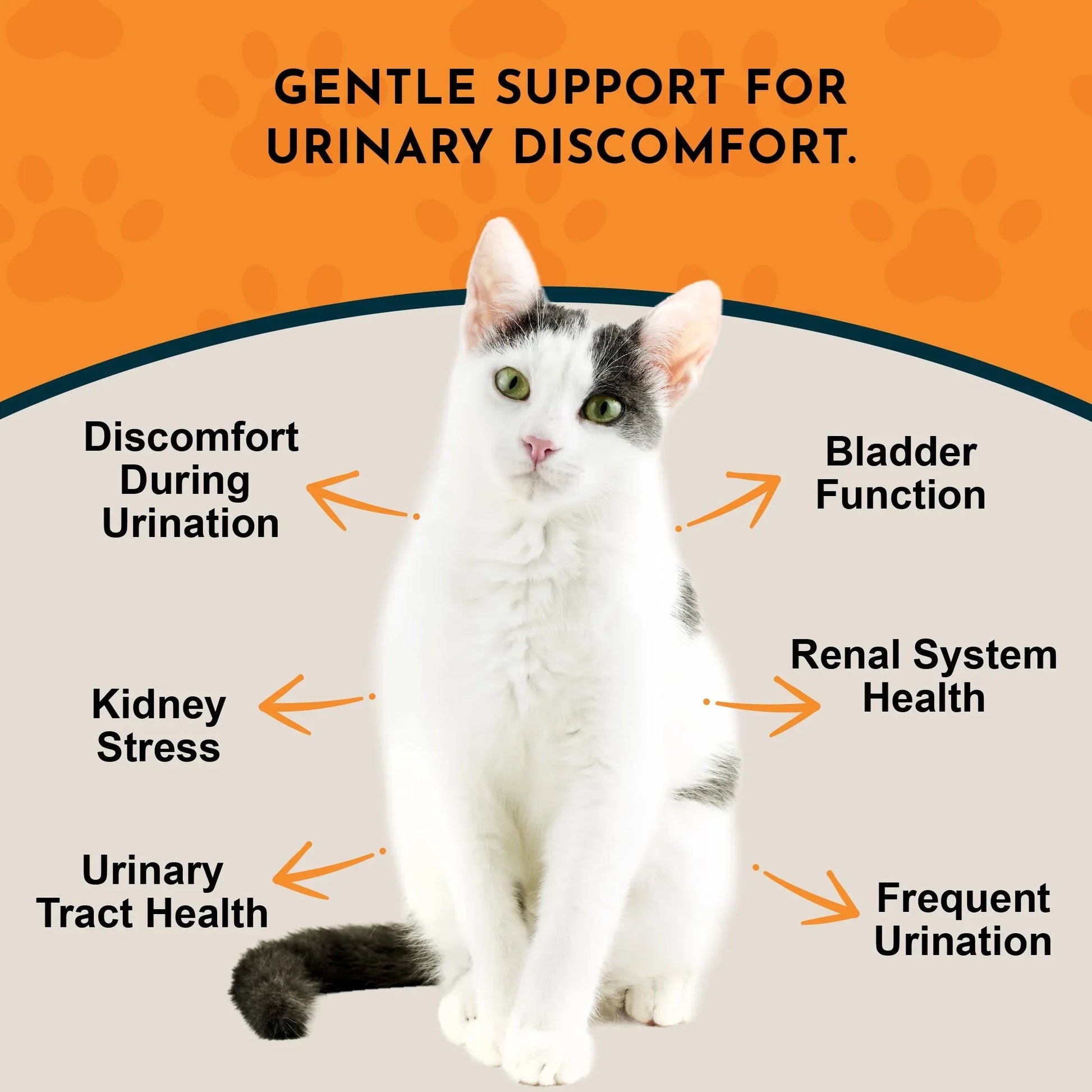 Animal Essentials Tinkle Tonic Herbal Tonic to Support Urinary Tracts System for Dogs & Cats - Urinary Tract 4