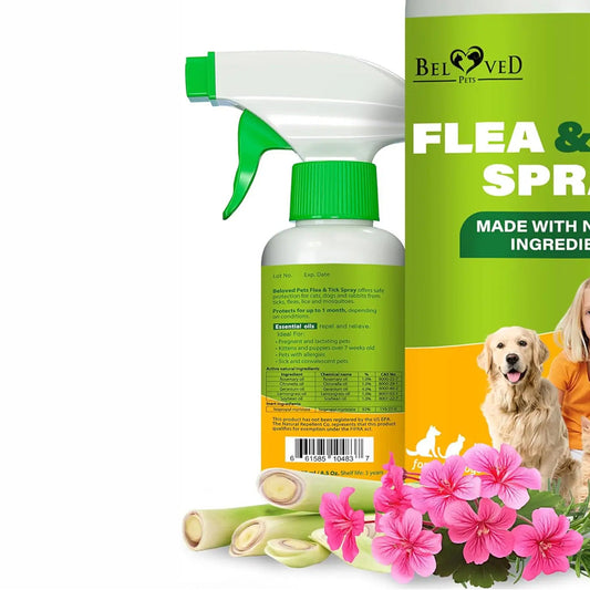 Beloved Pets Natural Flea & Tick Home Spray for Dogs & Cats 8.5-oz - Dog Flea & Tick Shampoos & Sprays 1