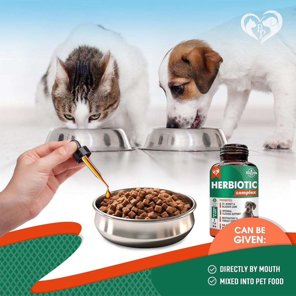 Beloved Pets Natural Herbiotic Liquid Urinary Supplement for Dogs & Cats 60-mL - Kidney & Bladder Supplements for Dogs 4