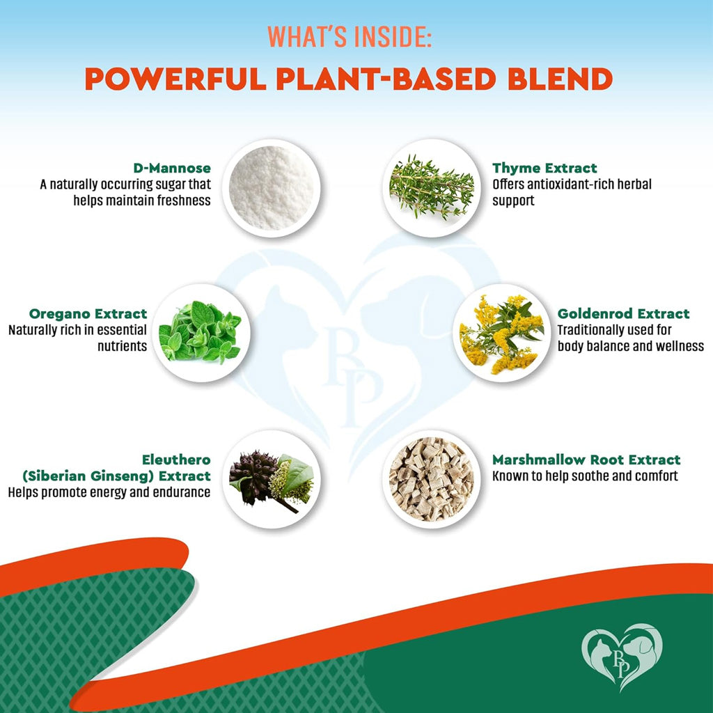 Beloved Pets Natural Herbiotic Liquid Urinary Supplement for Dogs & Cats 60-mL - Kidney & Bladder Supplements for Dogs 5