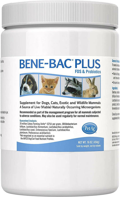 bene bac plus powder