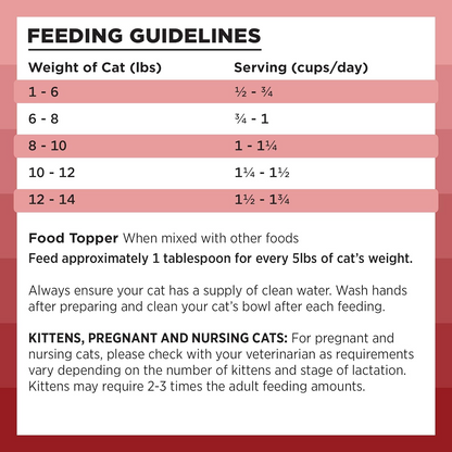 Bixbi Rawbble Freeze Dried Cat Food Beef Recipe - Cat Food 3