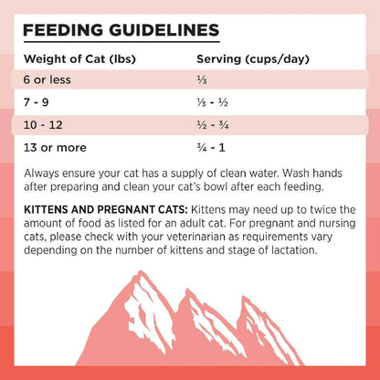Bixbi Rawbble Grain-Free Salmon Recipe Raw Coated Dry Cat Food (3 lb)