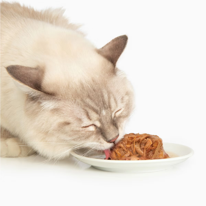 Catit Dinner Variety Pack Grain-Free Chicken Wet Cat Food Topper (2.6 oz can case of 12) - Cat Food 6