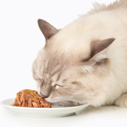 Catit Fish Dinner with Tuna & Carrots Wet Cat Food (2.8 oz) - Cat Food 3