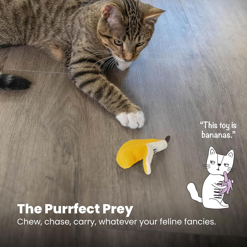 Catstages Banana Cat Dental Chew Toy with Catnip