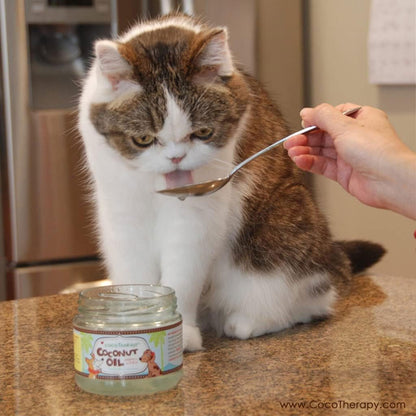 Cocotherapy Virgin Coconut Oil Supportive Care for Dogs Cats & Birds - Pet Vitamins & Supplements 7
