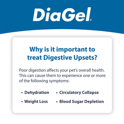 DiaGel Anti-Diarrheal Gel for Cats (1 ml) - Cat Digestive & Probiotics Supplements 8