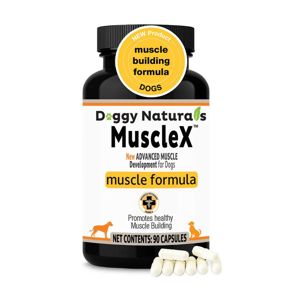 Doggy Naturals MuscleX muscle building formula for dogs on a white background