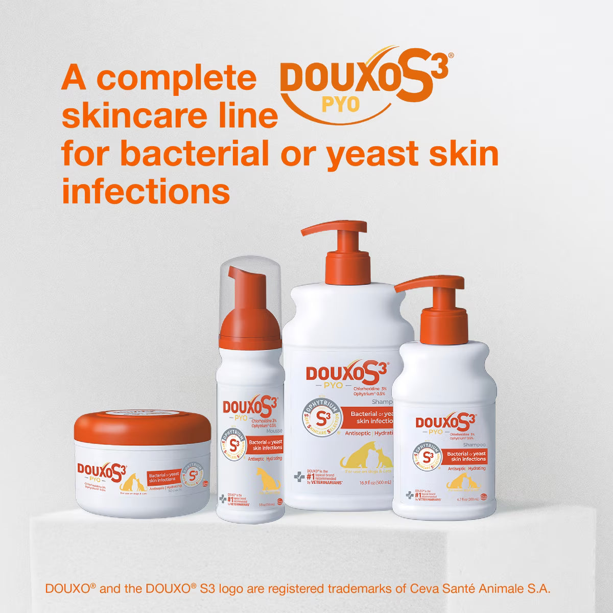 Douxo S3 PYO Antiseptic Antifungal Chlorhexidine Dog Mousse (5.1 oz) - Dog Grooming 8