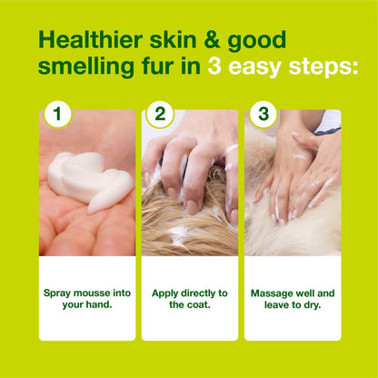 Douxo S3 SEB Odor-Control Seboregulating Dog & Cat Mousse (5.1 oz) - All Dog Grooming 7